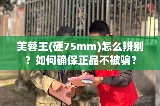芙蓉王(硬75mm)怎么辨别？如何确保正品不被骗？